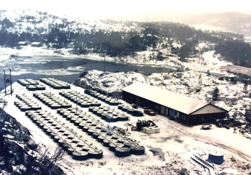 Produksjon av settefisk for laks, anlegget til Bindalssmolt cirka år 1987. Foto.