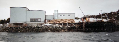 Lokaler for Sinkaberg Fiskeoppdrett på Marøya i 1984. Foto. 