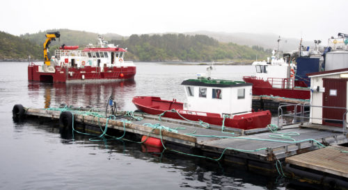 Båter brukt i havbruksnæringa, SinkabergHansen ved Rørvik 2018. Foto