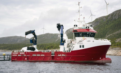 Marøy Viking, servicebåt, foto